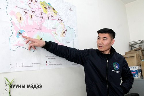 Ц.Цолмонбаатар: Зэрлэг ан амьтдад идэш тэжээлийн дэмжлэг үзүүлнэ